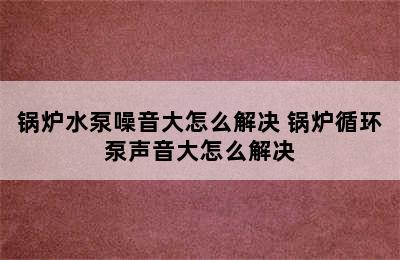 锅炉水泵噪音大怎么解决 锅炉循环泵声音大怎么解决